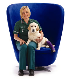 Welcome to the Petplan Veterinary website