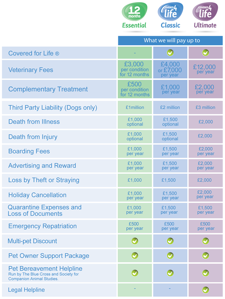 Petplan Policies at a Glance