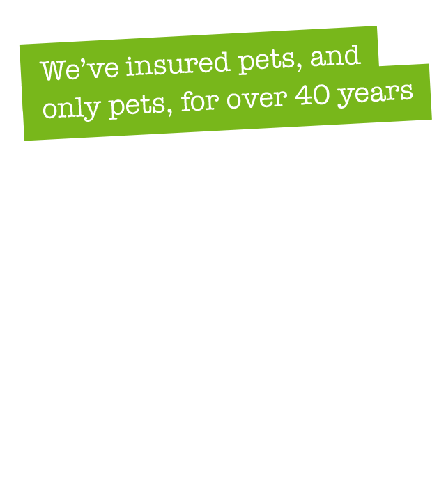 Unrivalled support for veterinary practices