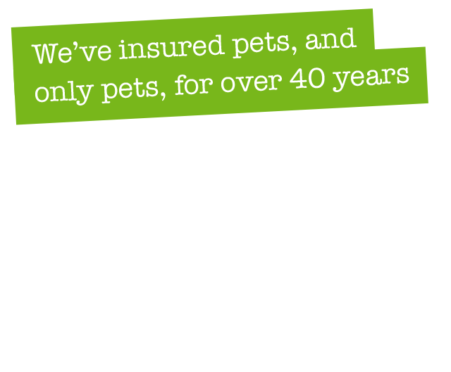 Unrivalled support for veterinary practices