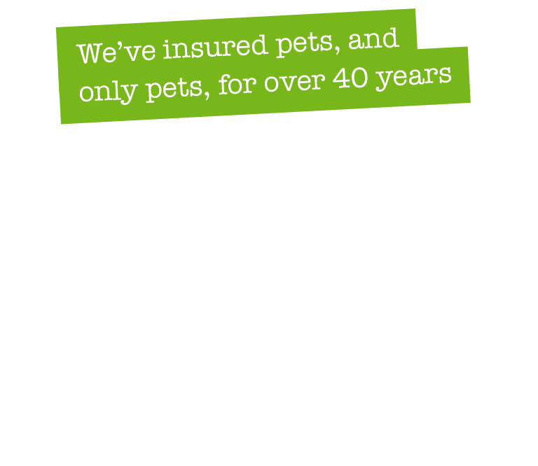 Pet plan vet deals